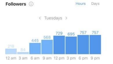 screenshot esplicativo degli orari in cui gli utenti sono più attivi su uno specifico account Instagram