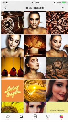 Esempio di feed Instagram con contenuti semplici e contenuti più ricchi.